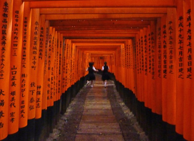 Torii tunnel