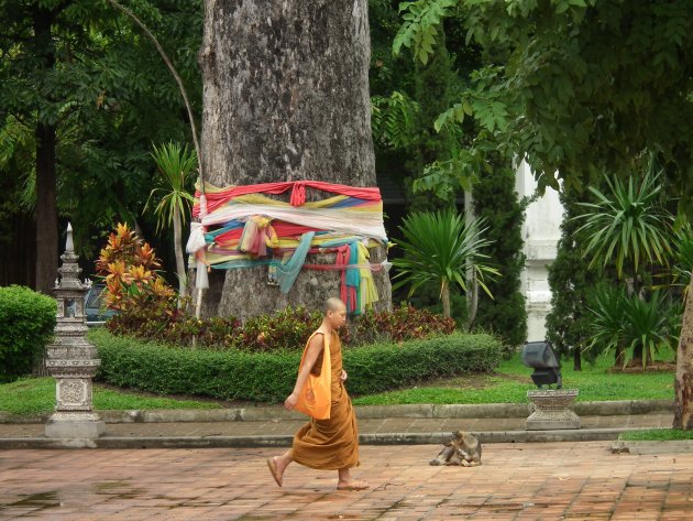 Chiang Mai