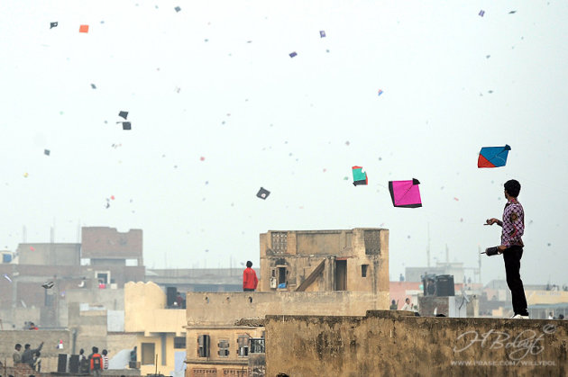 Vliegerfestival Jaipur