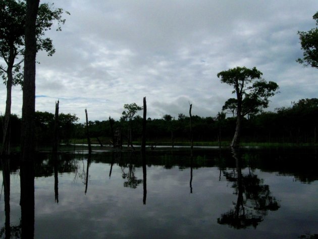 door het water van de Amazone