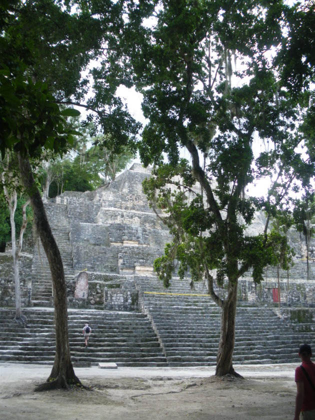 Piramide in Calacmul