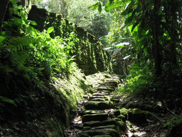 Ciudad Perdida