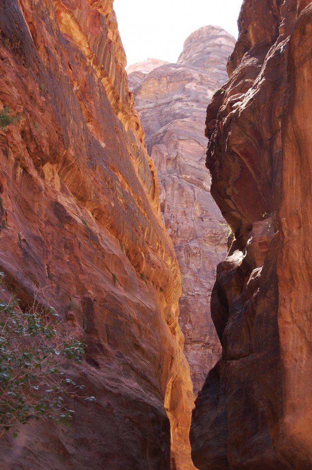 OLp weg naar Petra, Jordanie.