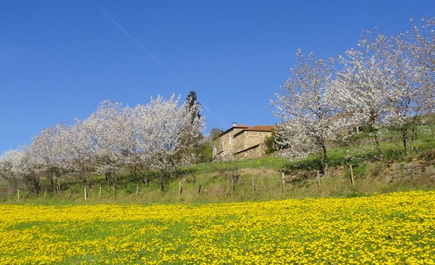 Printemps en France