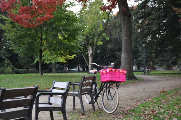 Fiets geparkeerd in Wilhelminapark Tilburg