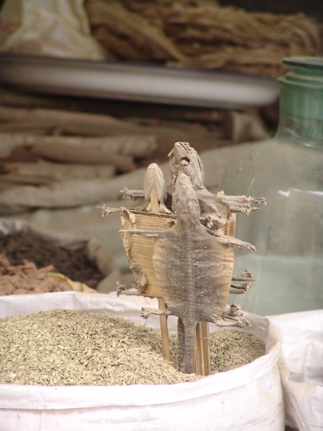 Gedroogde gekko's op de markt in Kashgar