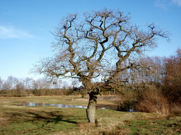 Stroomdal de Drentse A