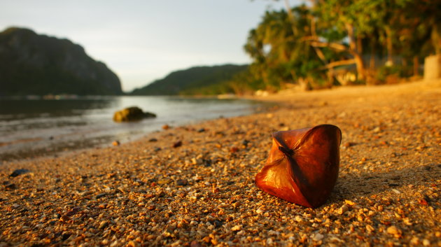 Coconut beach