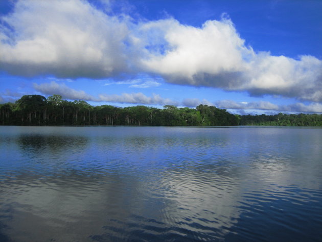 Amazone in Peru