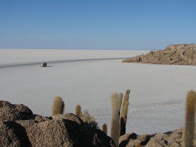 Cactuseiland - Uyuni zoutmeer