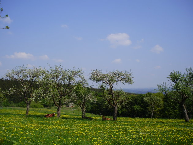 Lente in de Luxemburgse Eifel