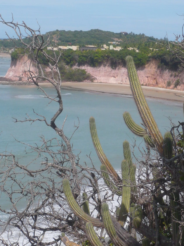 Uitzicht over kust-lijn vanuit een Nationaal park in Tibau du Sol