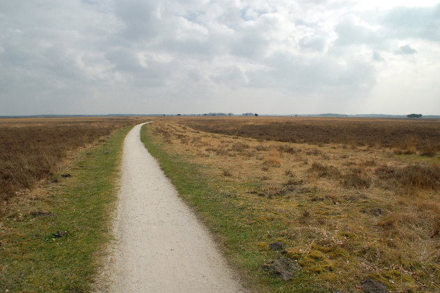 Dwingelderveld