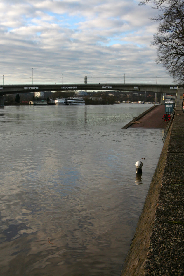Hoog water in de Rijn