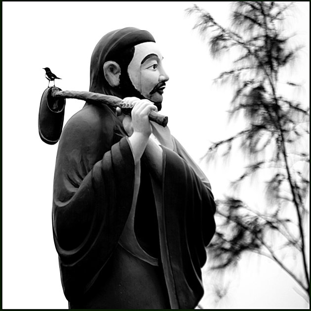 Vogel op monnik in Cao Dai tempel