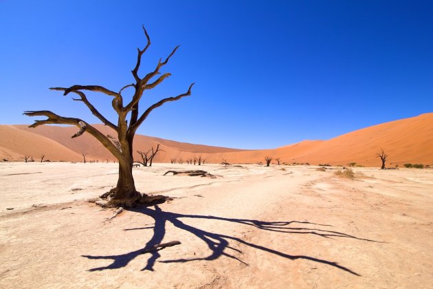 Deadvlei