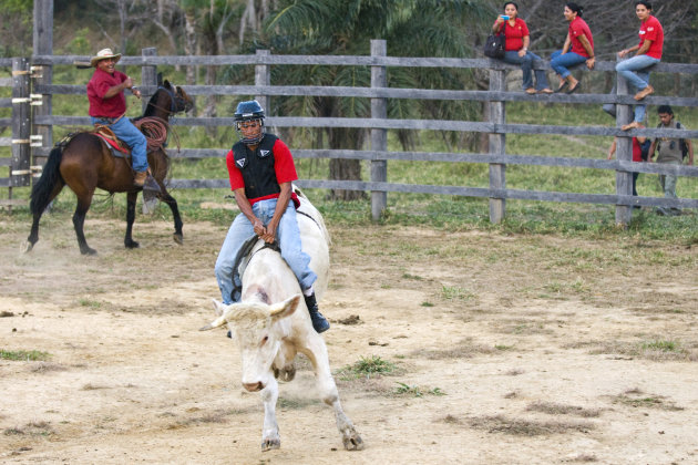 Bull riding