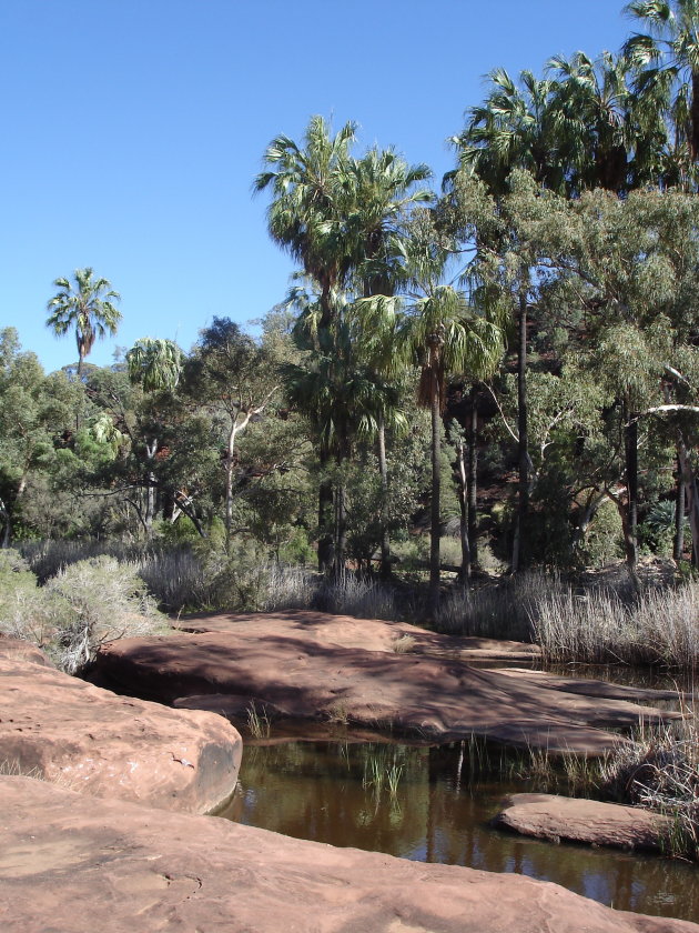 Palm Valley Finke NP