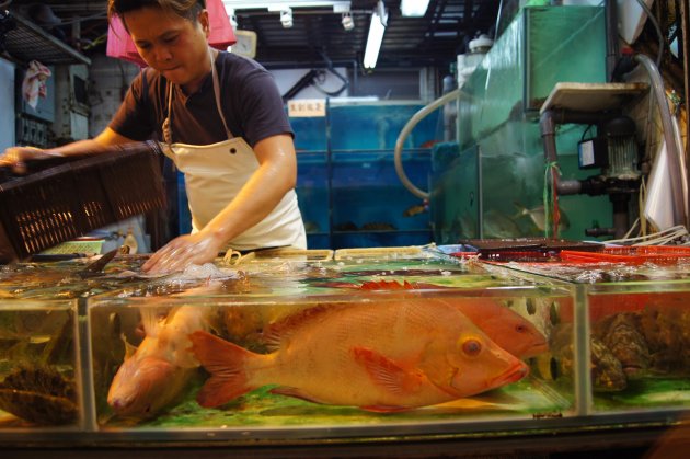 Vismarkt Hong Kong