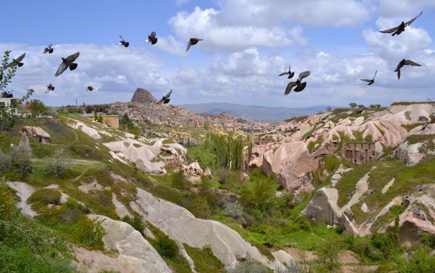 Duivenvallei in CappadociÃ«