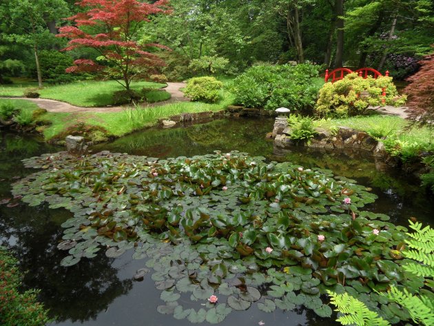 Serene rust in de Japanse tuin