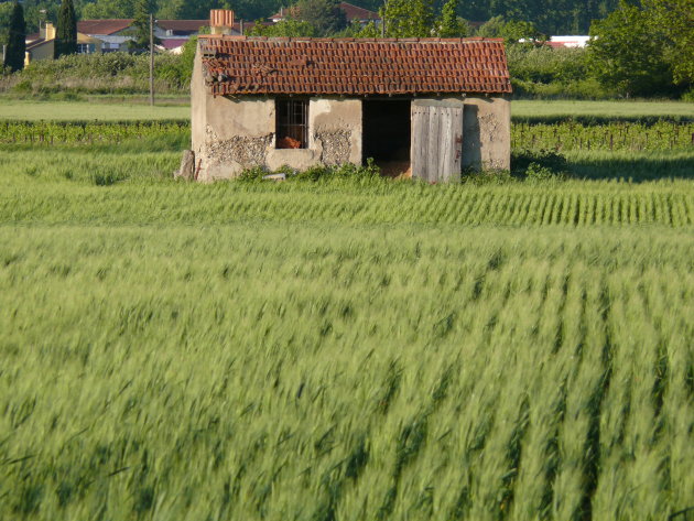 Landschap bij Cadenet