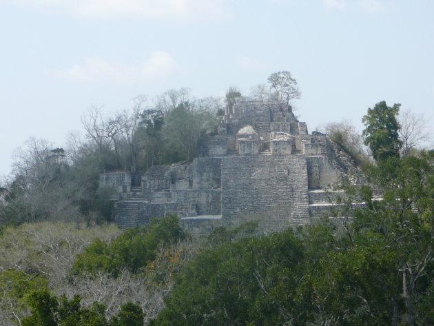 Piramide van Calakmul doemt op uit het junglelandschap