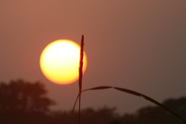 Ondergaande zon Chitwan NP