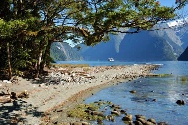 Milford Sound