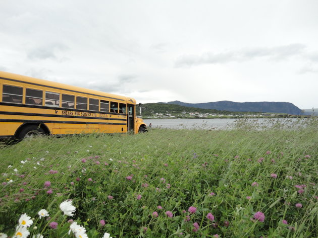 Rocky Harbor, Newfoundland and Labrador