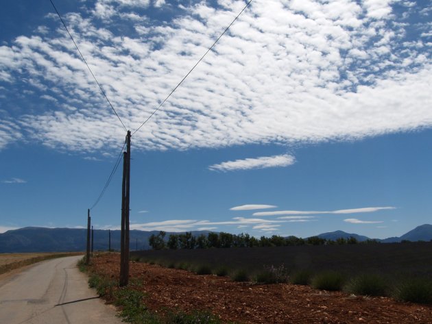 mooi landschap in de provence