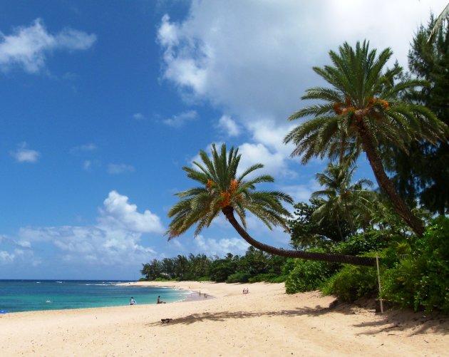 Sunset Beach op Oahu - Hawaii 