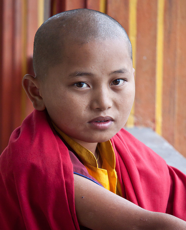 Tibetaans klooster bij Pokhara