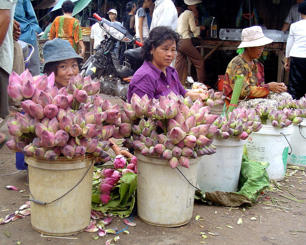 Lotusbloemen