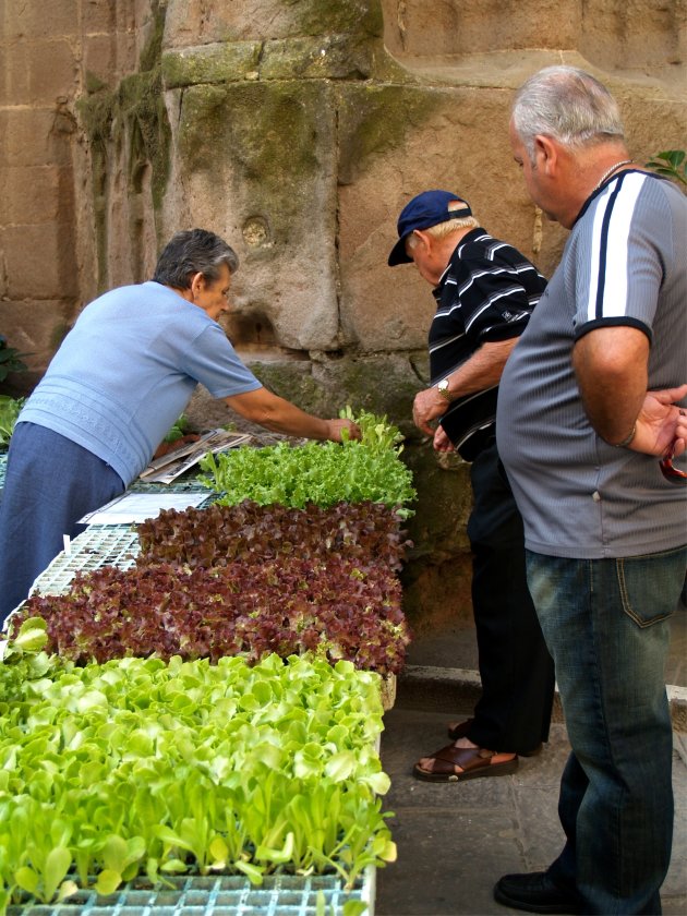 markt; solsona