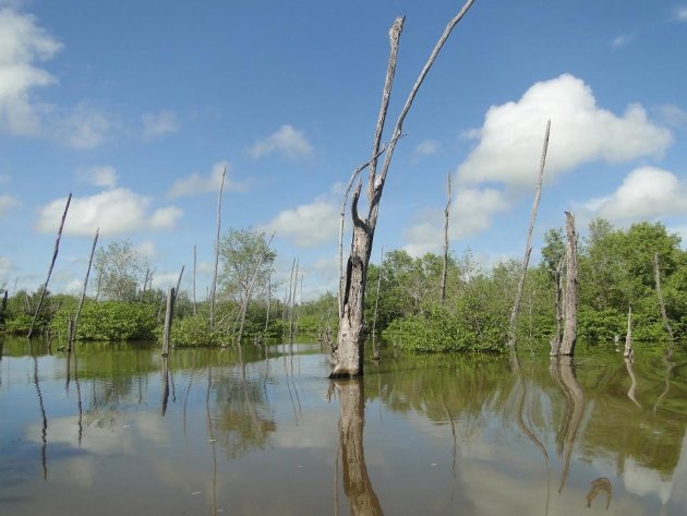 In het waterbeheersgebied Bigi Pan