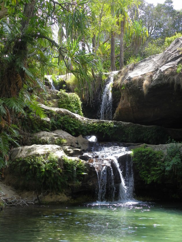 Paradijs: Piscine Naturel