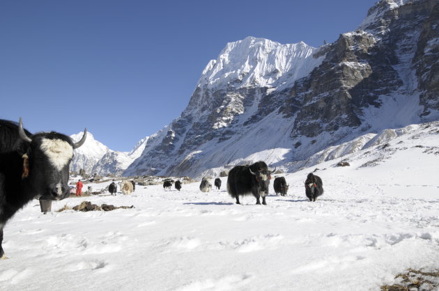 Ramche(Kanchenjuga trek)