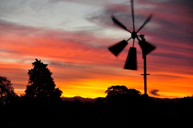 Molentje in zonsondergang