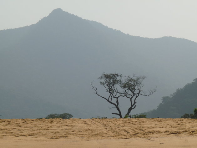 John Obey Beach