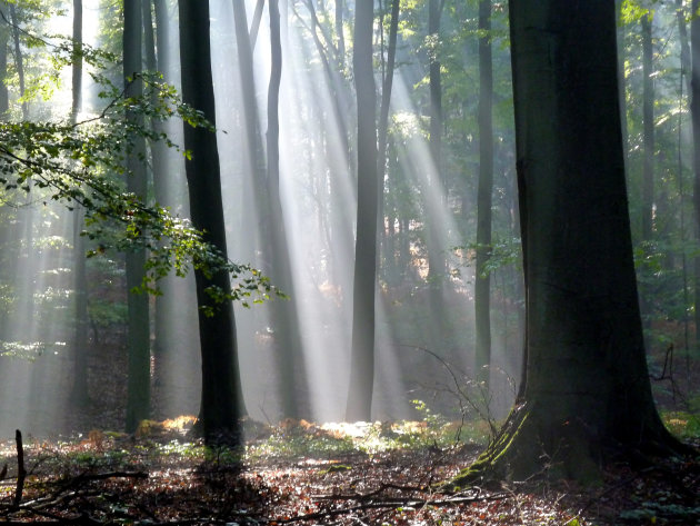 zonnestralen in de herfst