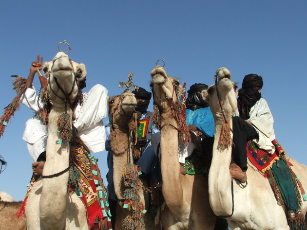 Tuareq