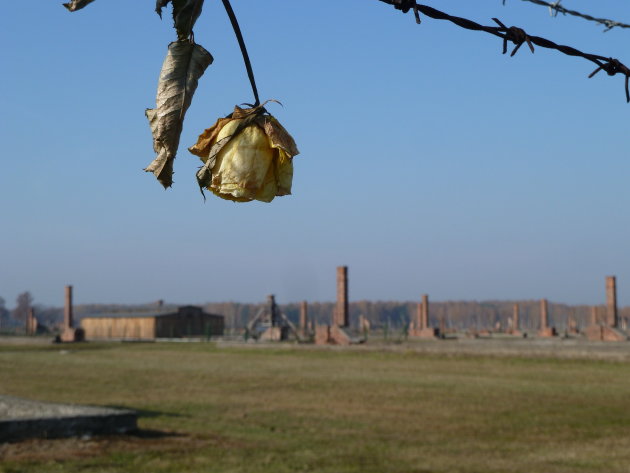 Auschwitz Birkenau