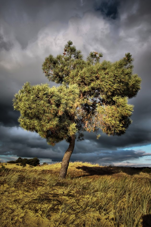 Kale duinen voordat de storm uitbreekt