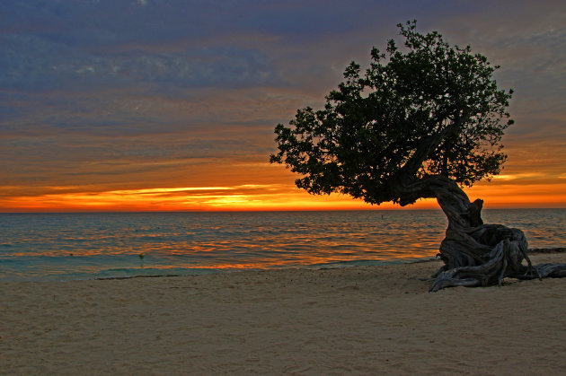 Island in the Sun (Eagle Beach Aruba)