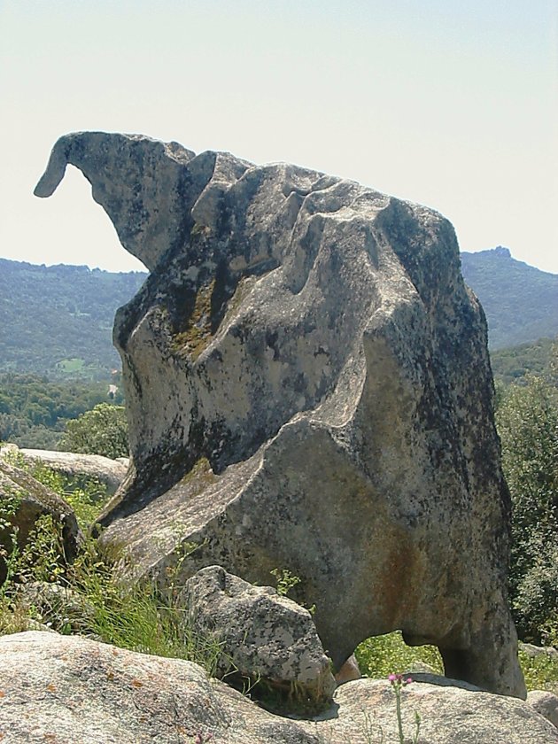 'Dinosaur Rock' - Gary Sohmers' Windjammer