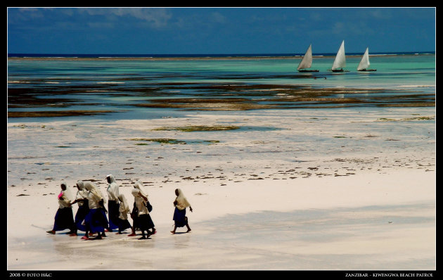 zanzibar beach patrol