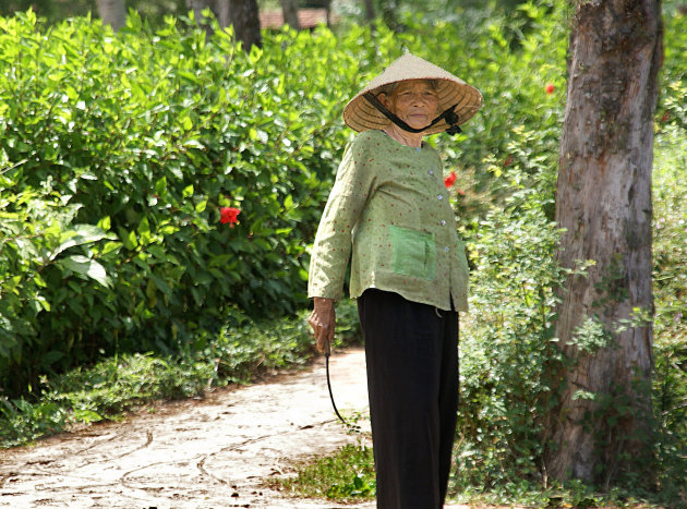 Stilte in My Lai 