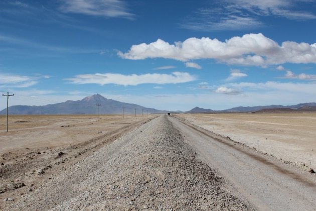 Boliviaans landschap