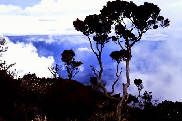 Mount Kinabalu